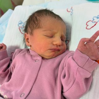16 Babies In One Day: A Weekend That Began With Life At Plodnost