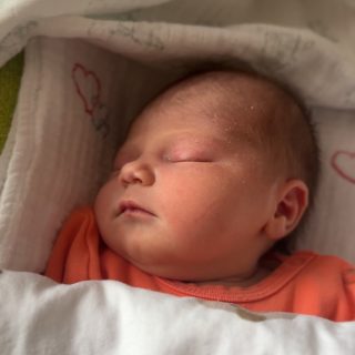16 Babies In One Day: A Weekend That Began With Life At Plodnost