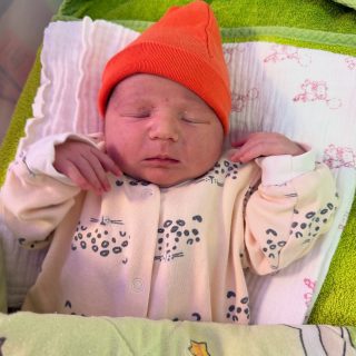 16 Babies In One Day: A Weekend That Began With Life At Plodnost