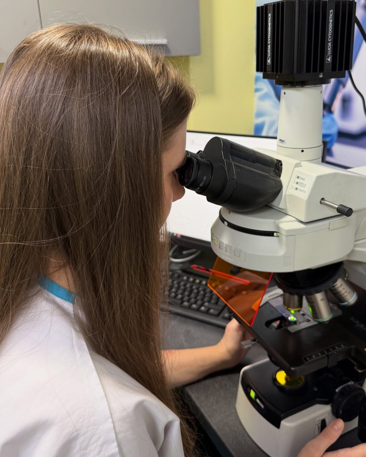Karyotyping Biologist At Work Plodnost