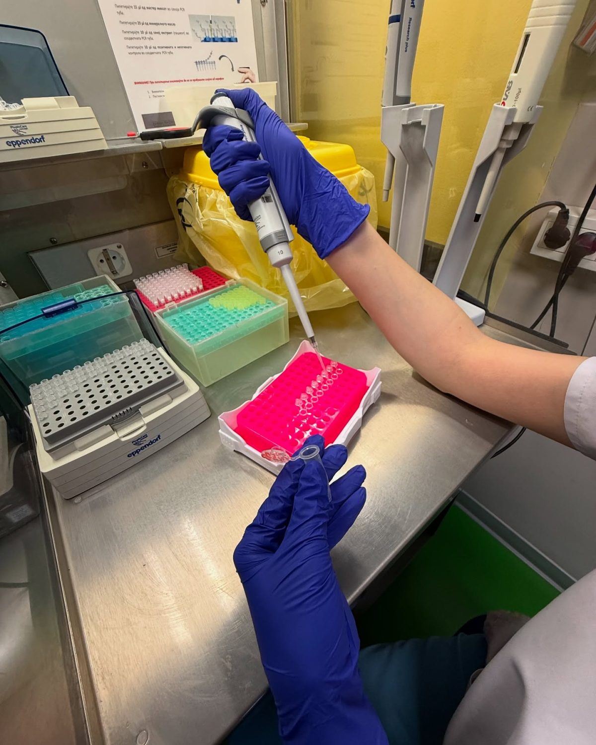 Ureaplasma Procedure Plodnost
